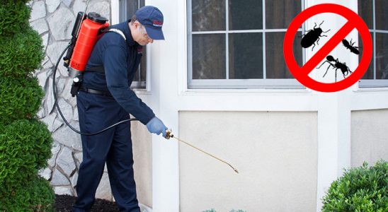 Örnekköy Hamam Böceği İlaçlama böcek ilaçlama ve haşere kontrolü — ilaclama-tr.com